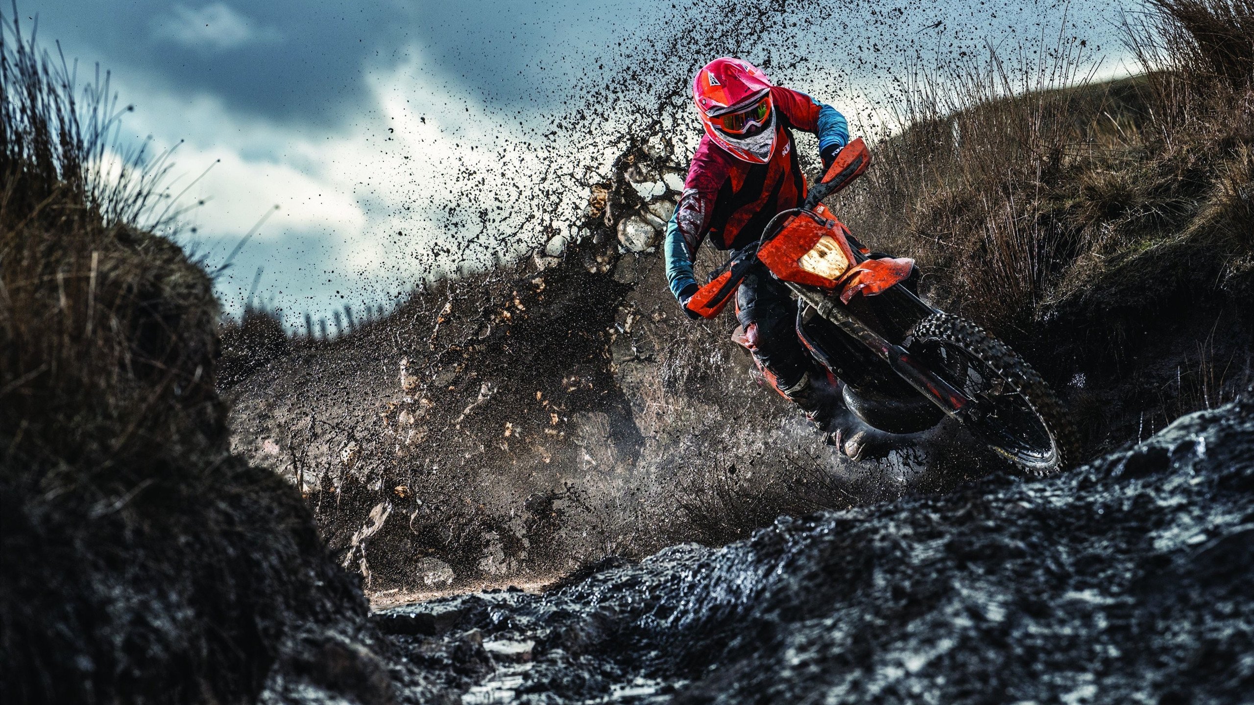 中国体操全锦赛女子跳马新秀夺冠 技术细腻获裁判好评，2021年体操全锦赛女子跳马